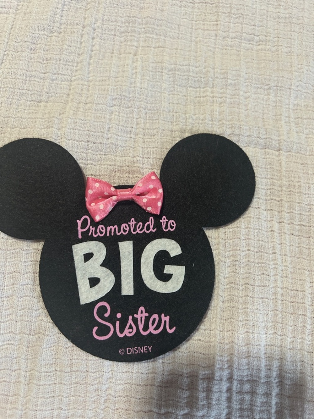 Disney Black Minnie Ear 'Promoted to Big Sister' Sign with Pink Bow Sticker